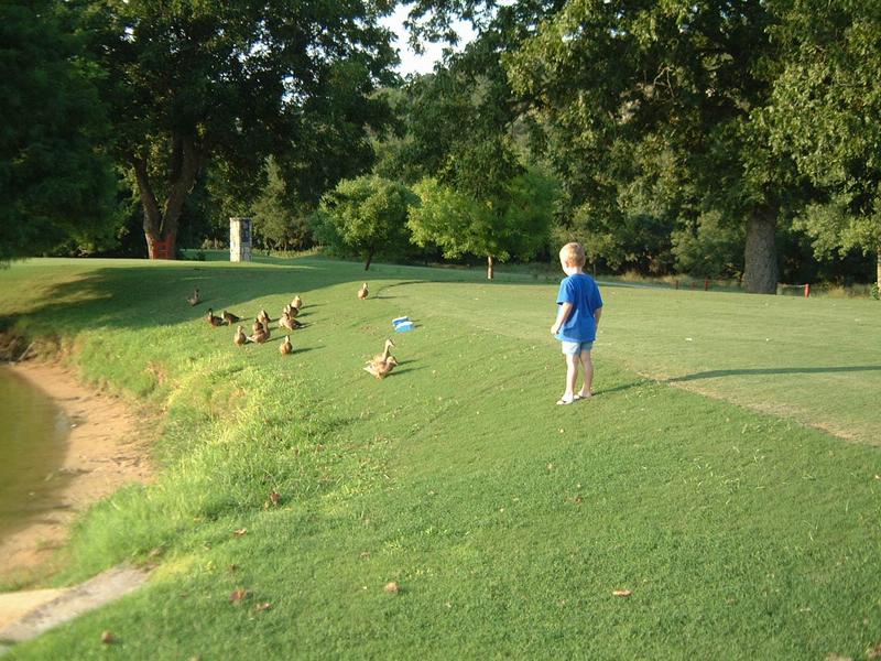 2003/08(Aug)/3(babysitting)/800x600_2003-08-18 18-58-07.JPG
